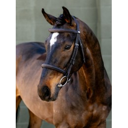 LeMieux SS26 Arika Classique капцунг уздечка