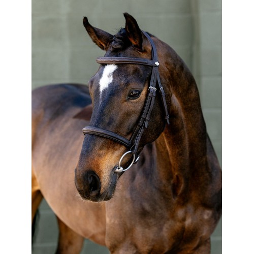 LeMieux SS26 Arika Classique Cavesson Bridle