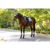 LeMieux SS26 Essence CC Saddle Pad