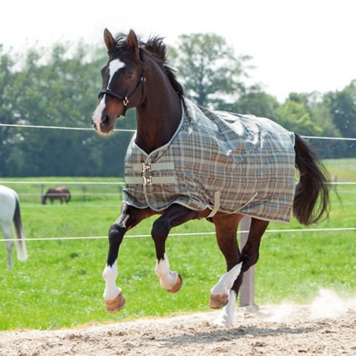 Kavalkade Montreal Turnout Rug