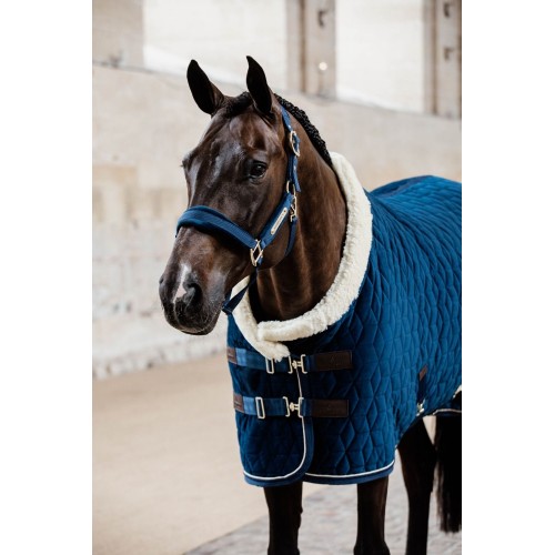 Kentucky Velvet Halter