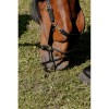 Norton Halter Nylon Educational