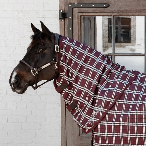Kentucky Neck All Weather Waterproof Comfort 100g Bordeaux Check