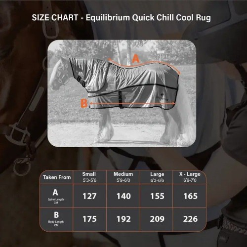 Equilibrium Quick Chill Rug V26