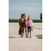Red Horse SS26 Summer Jacket Yuma