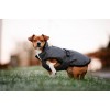 Bucas Reflectglow Dog Rug