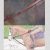 Dyon Grip Draw Reins