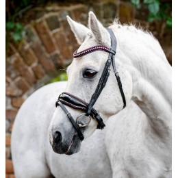 Horseware пони Diamante Flash уздечка