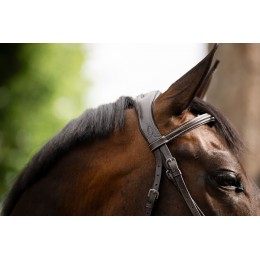 Horseware Figure 8 Grackle уздечка