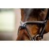 Horseware Figure 8 Grackle Bridle