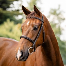 Horseware Hunter уздечка