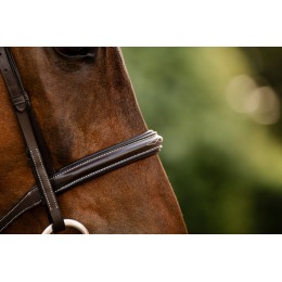 Horseware Hunter уздечка