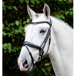 Horseware выездковый Flash уздечка