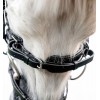 Horseware Pony Flash Bridle