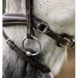 Horseware пони Flash уздечка