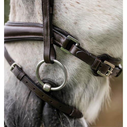 Horseware Pony Flash Bridle