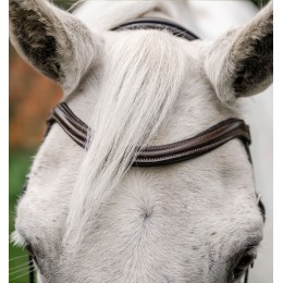 Horseware пони Flash уздечка