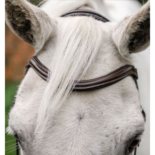 Horseware Pony Flash Bridle