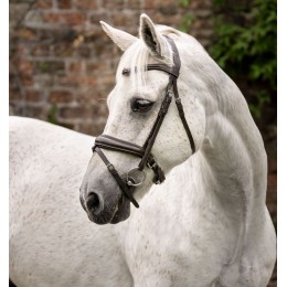 Horseware пони Flash уздечка
