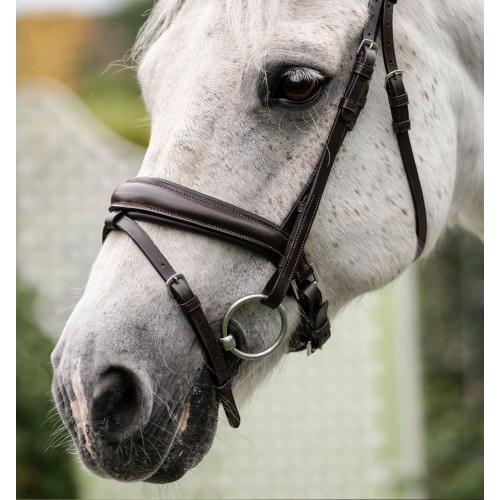 Horseware Pony Flash Bridle