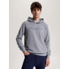 Tommy Hilfiger SS26 Anniversary Capsule Men's Logo Hoodie