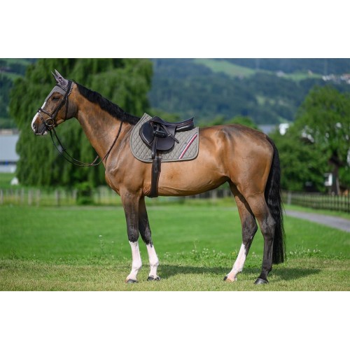 Tommy Hilfiger SS26 Stanford Saddle Pad