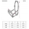 LeMieux SS26 Capella Headcollar