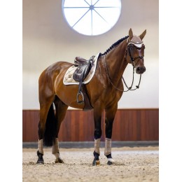 Equestrian Stockholm из сетки ногавки - Sand