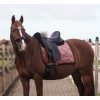 Equestrian Stockholm x HypoStore Velvet Lush Bloom Dressage Saddle Pad