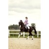 Equiline SS26 Competition Jacket Crystal Fabric EQGarcia