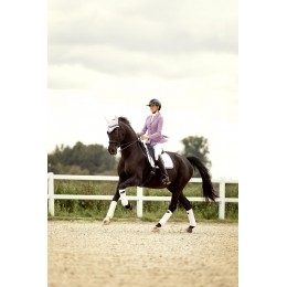 Equiline SS26 турнирный фрак Crystal ткань EQGarcia
