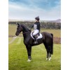 LeMieux Self-Cool Close Contact Square Jumping Saddle Pad Arctic