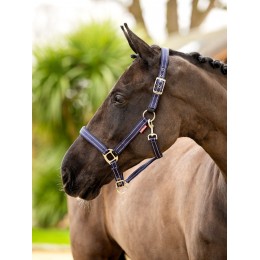 LeMieux CORE Essential Yard Headворотник