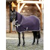 LeMieux AW25 Arika DryEase Rug Juniper