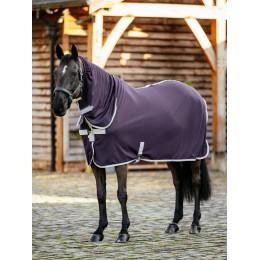 LeMieux AW25 Arika DryEase попона Juniper