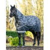 LeMieux AW25 Arika reflective turnout rug 100g black