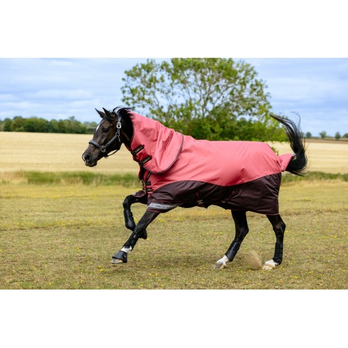 LeMieux AW25 Arika Ripstop 200g Turnout Rug Cranberry