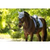 LeMieux SS26 Classic Ear Bonnet