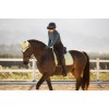LeMieux SS26 Suede Dressage Saddle Pad