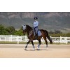 LeMieux SS26 Suede Dressage Saddle Pad
