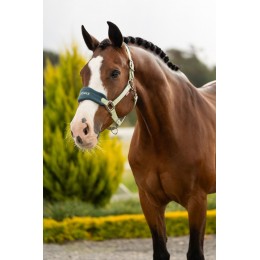 LeMieux SS26 Vogue Headворотник & Leadrope