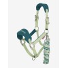 LeMieux SS26 Vogue Headcollar & Leadrope