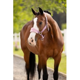 LeMieux SS26 Vogue Headворотник & Leadrope