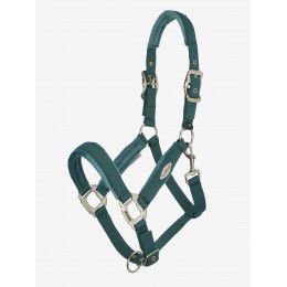 LeMieux SS26 Versailles Headворотник
