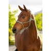 LeMieux SS26 Rope Halter