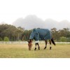 LeMieux SS26 Arika Ripstop 50g turnout rug Jungle