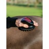 LeMieux SS26 Massage Brush