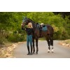 LeMieux SS26 Simone Riding Tights Full Grip