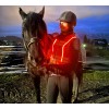 Komperdell Backprotector Ballistic High Visibility Flexfit