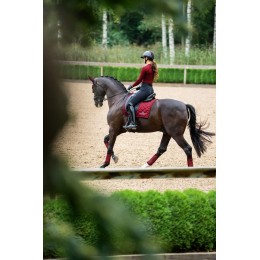 Equestroam Stockholm Line Bordeaux Dressuurdekje